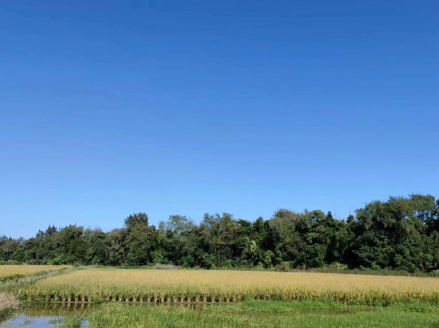 【百千萬工程】新海街道：答好“四道題”，擦亮“新底色”.docx_4