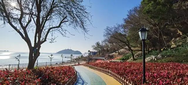 媽嶼社區(qū)四處“見縫插綠、宜花則花” 圖片