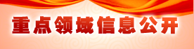 重點領域信息公開